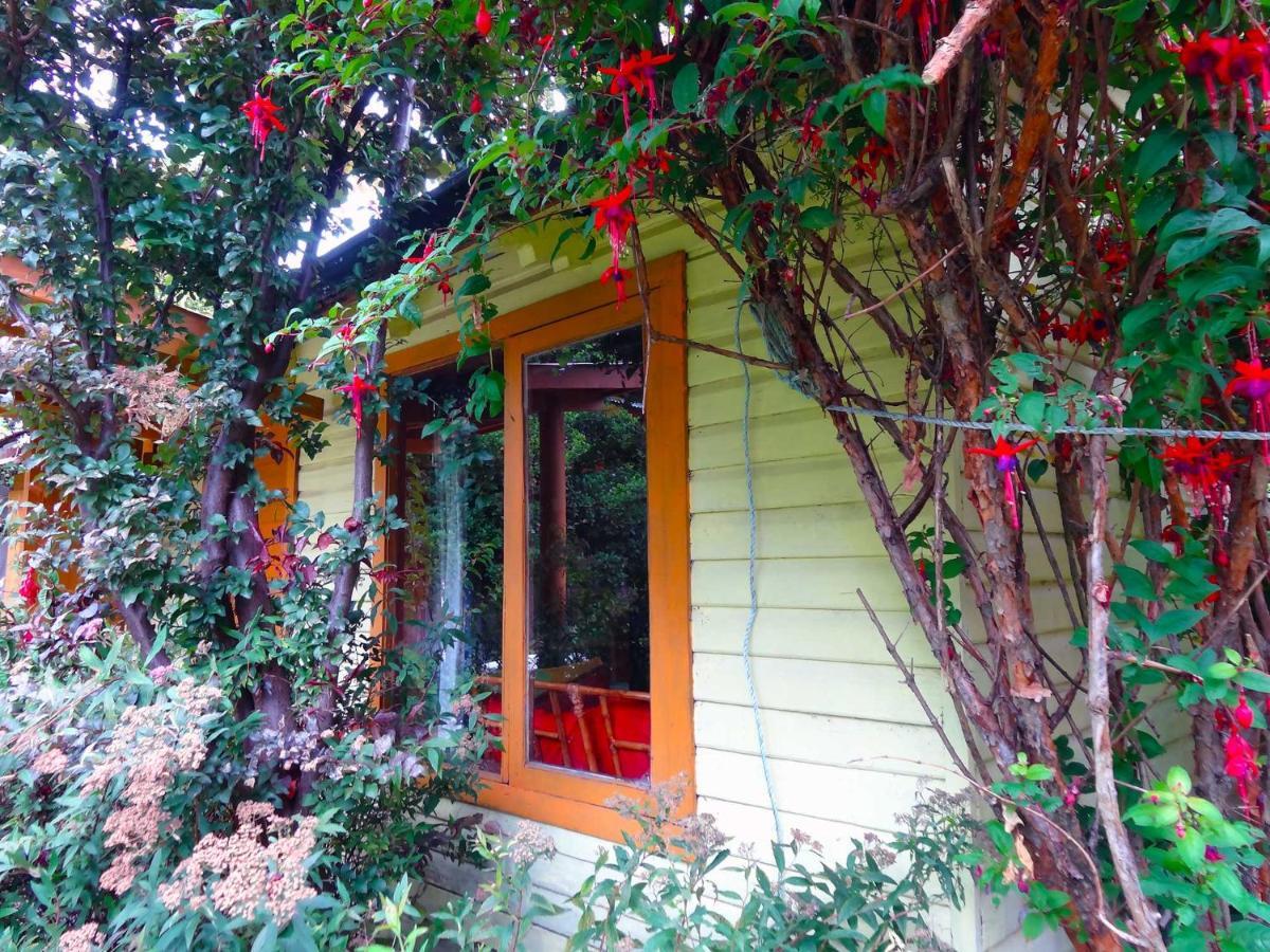 Casa de hóspedes Milinco - Ala Maison Pucón
